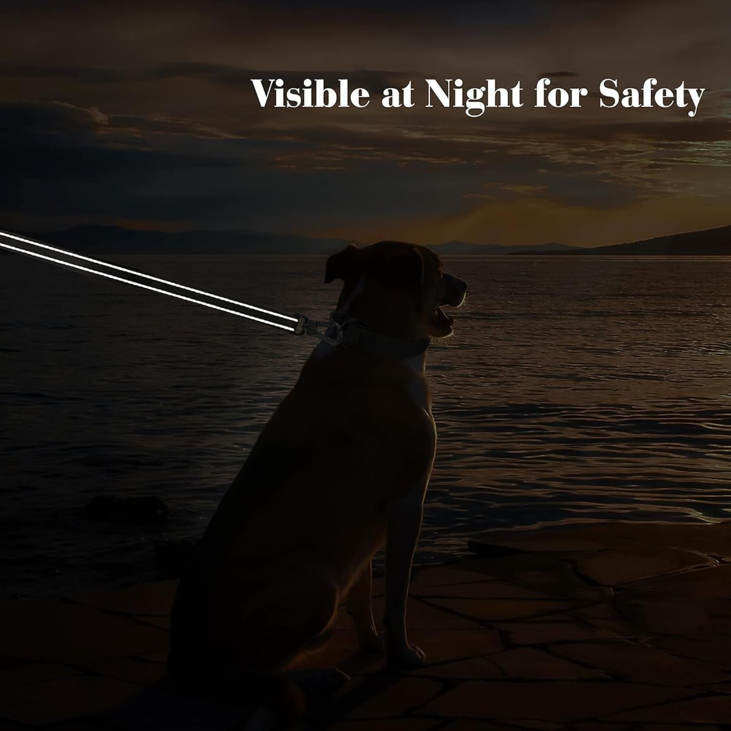 4 FT Heavy-Duty Dog Leash – Dual Padded Handles, Auto-Lock Hook & Reflective Nylon Walking Lead for Large, Medium & Small Dogs