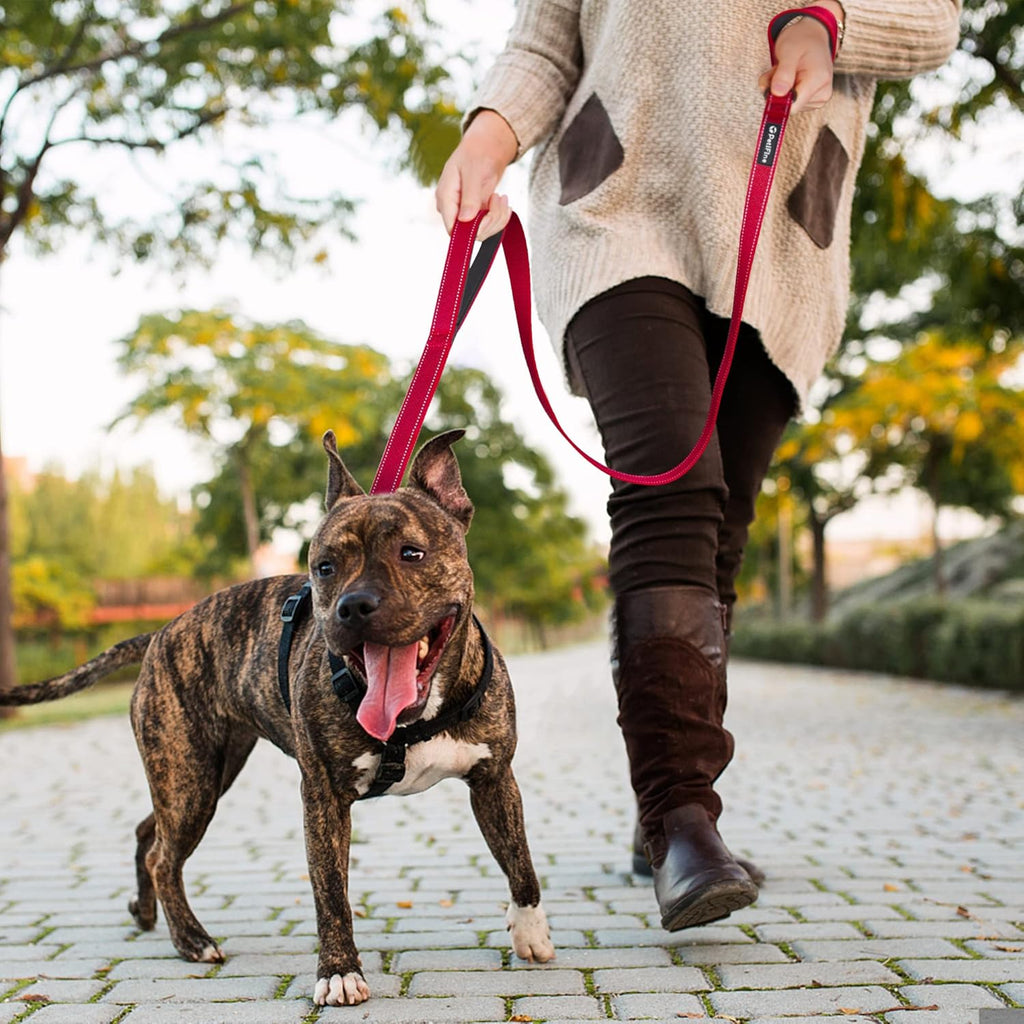 4 FT Heavy-Duty Dog Leash – Dual Padded Handles, Auto-Lock Hook & Reflective Nylon Walking Lead for Large, Medium & Small Dogs