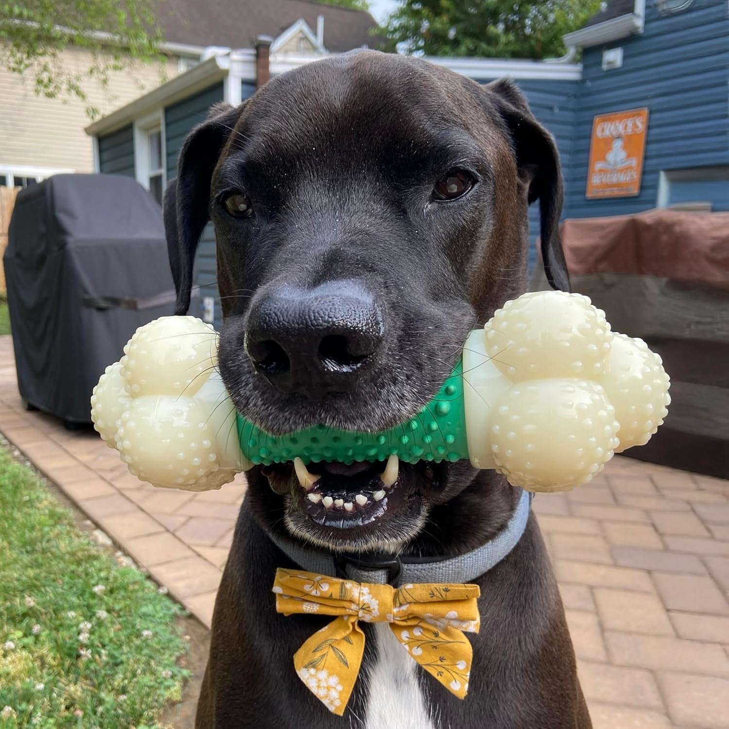 Power Chew Dog Toy for Aggressive Chewers – X-Large Durable Barbell Bone with Teeth-Cleaning Texture for Large Dogs 50+ lbs
